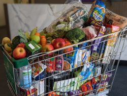 $100 at Foodbank Equals $560 at the Shops 86KG (1)