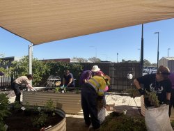 FoodbankWA_Community Garden