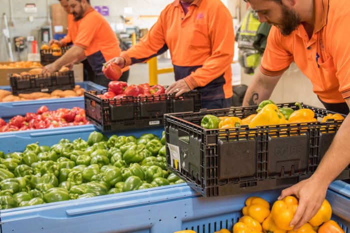 Foodbank packing vegies