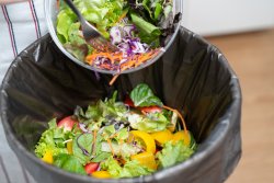 The image highlights food waste, particularly of fresh, colorful vegetables that appear uneaten. The setting appears to be a kitchen or a household environment.